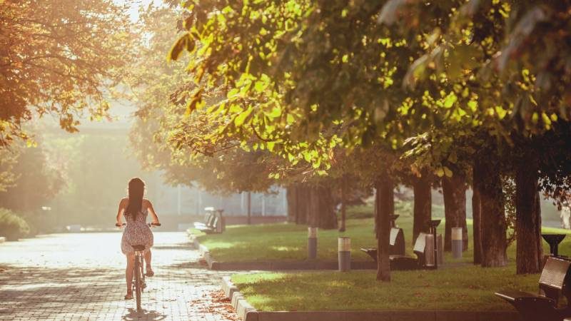 O que fazer em Dracena-SP? 4 dicas de passeios em Dracena